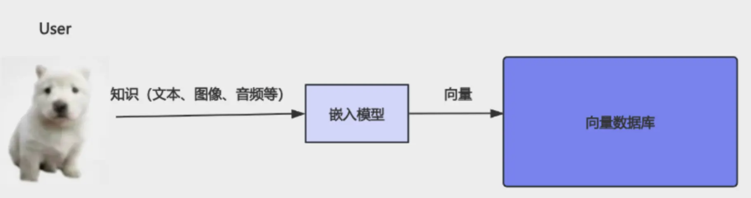 Embedding vs LLM